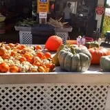Susie's Garden Patch photo