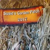 Susie's Garden Patch photo