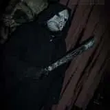 Warriors Haunted Asylum photo