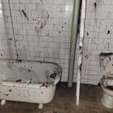 Warriors Haunted Asylum photo
