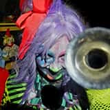Warriors Haunted Asylum photo