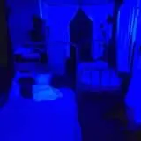 Warriors Haunted Asylum photo