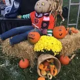 Windy Acres Farm Fall Festival photo