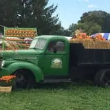 Windy Acres Farm Fall Festival photo