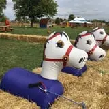 Windy Acres Farm Fall Festival photo
