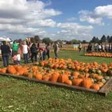 Windy Acres Farm Fall Festival photo