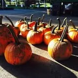 Windy Acres Farm Fall Festival photo