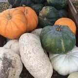 Windy Acres Farm Fall Festival photo