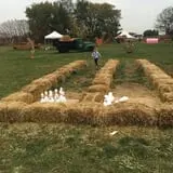 Windy Acres Farm Fall Festival photo