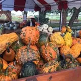 Windy Acres Farm Fall Festival photo