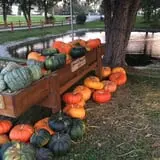 Windy Acres Farm Fall Festival photo