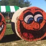 Windy Acres Farm Fall Festival photo