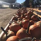 Windy Acres Farm Fall Festival photo