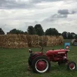 Windy Acres Farm Fall Festival photo