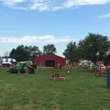 Windy Acres Farm Fall Festival photo