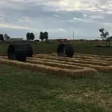 Windy Acres Farm Fall Festival photo