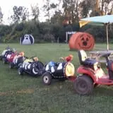 Penny's Country Farm photo