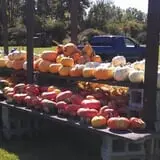 Penny's Country Farm photo