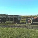 Penny's Country Farm photo