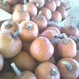 Penny's Country Farm photo