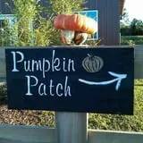 Penny's Country Farm photo