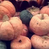 Penny's Country Farm photo