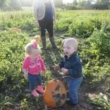Penny's Country Farm photo