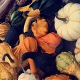 Penny's Country Farm photo