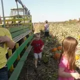 Cook's Farm Dairy photo