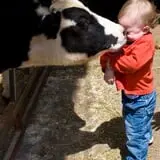 Cook's Farm Dairy photo
