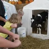 Cook's Farm Dairy photo
