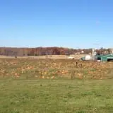 Cook's Farm Dairy photo