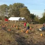 Meadowlark Farm photo