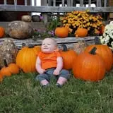 Meadowlark Farm photo