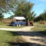 Meadowlark Farm photo