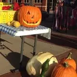 Meadowlark Farm photo