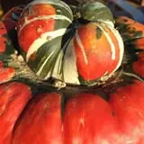 Meadowlark Farm photo