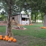 Meadowlark Farm photo