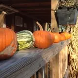 Meadowlark Farm photo