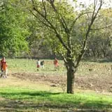 Meadowlark Farm photo