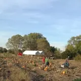 Meadowlark Farm photo