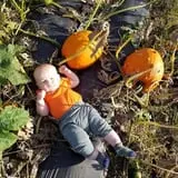 Meadowlark Farm photo