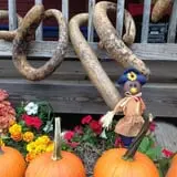 Meadowlark Farm photo