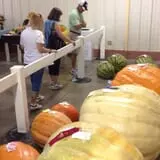 Meadowlark Farm photo
