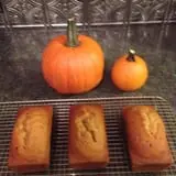 Meadowlark Farm photo