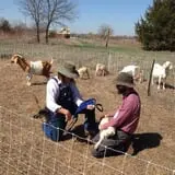 Meadowlark Farm photo