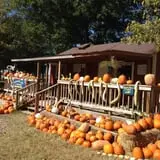 Meadowlark Farm photo