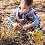 Meadowlark Farm photo