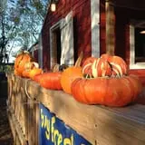 Meadowlark Farm photo