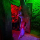 Midnight Movies (Haunted Attraction) photo